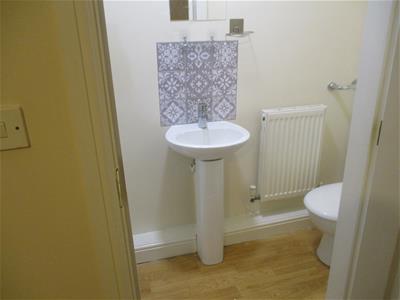 Picture 13